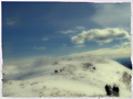 bjelolasica, n&hellip;
