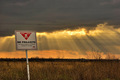 mrtva priroda &hellip;