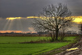 slavonski zala&hellip;