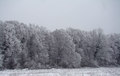 Božićna čipka&hellip;