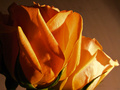 For Duble Ex..&hellip;