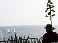 ACI Match Race&hellip;
