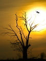 E.A.Poe  i dru&hellip;