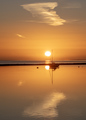 Ireland , Wexf&hellip;