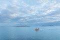 Saltee Islands