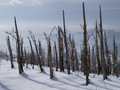 Vinograd pod s&hellip;
