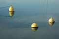 reflection