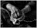 Grandma's&hellip;