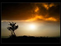 Solitude and s&hellip;