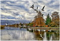 Esen vo Struga&hellip;