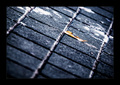 summer moved o&hellip;