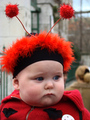 Nije lako buba&hellip;