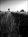 Black and Whit&hellip;