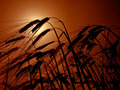 Sunce, nebo, k&hellip;