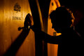 Tomac Vinograd&hellip;