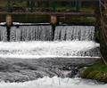 The Water Brid&hellip;