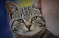 Tiggy "Mi&hellip;