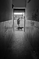 Dog day aftern&hellip;