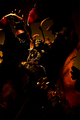 I demoni traze&hellip;
