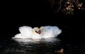 Happy Valentin&hellip;