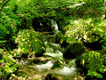 Papuk_zeleni p&hellip;