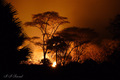 Tanzania - noc&hellip;
