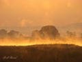Tanzania - jut&hellip;
