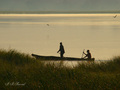 Tanzania - rib&hellip;