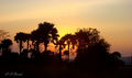 Tanzania - sut&hellip;