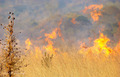 Tanzania - u p&hellip;