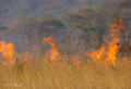 Tanzania - u p&hellip;
