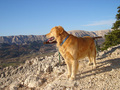 di je klupa da&hellip;