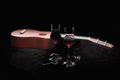 vino i gitara