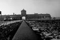 birkenau, ausc&hellip;