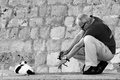 cat photograph&hellip;