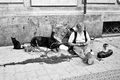 homeless