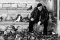 hranilac golub&hellip;