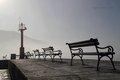porporela haze&hellip;