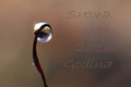 sretna vam nov&hellip;