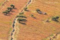 zima u vinogra&hellip;
