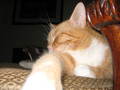 So relaxed...