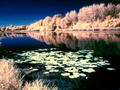 st. Drava Beli&hellip;