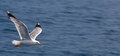 Jonathan_8079
