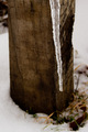 Zima 5325