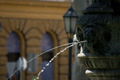Zrinjevac_9567