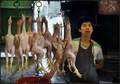 Kina. Guangzho&hellip;