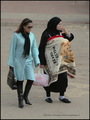 Bears - Rabat_&hellip;