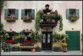 Lorenzago di C&hellip;