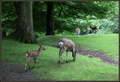 Marselisborg D&hellip;