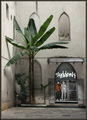 Verona Suddenl&hellip;